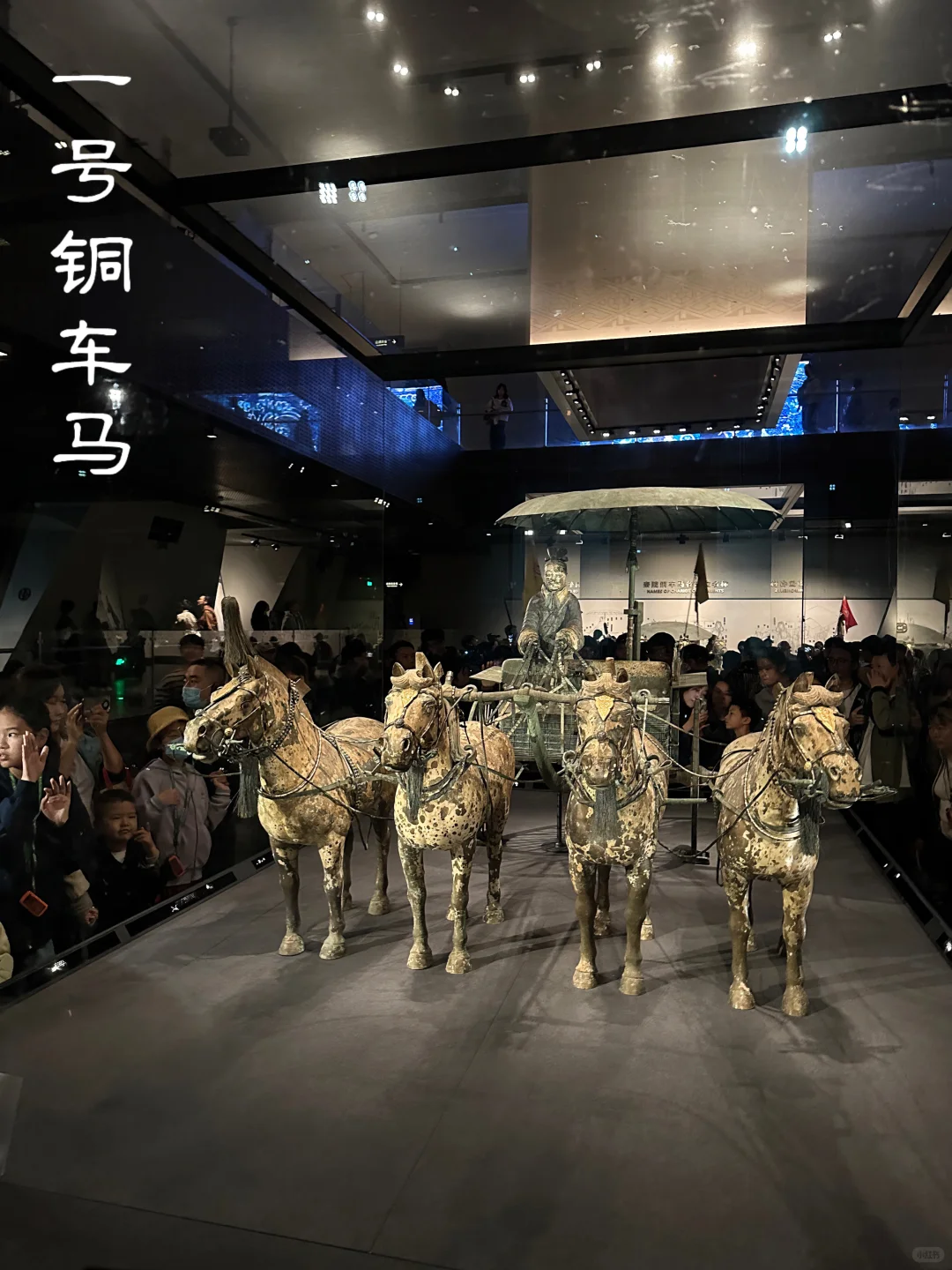 我 秦始皇 打钱😎我真懂兵马俑怎么玩