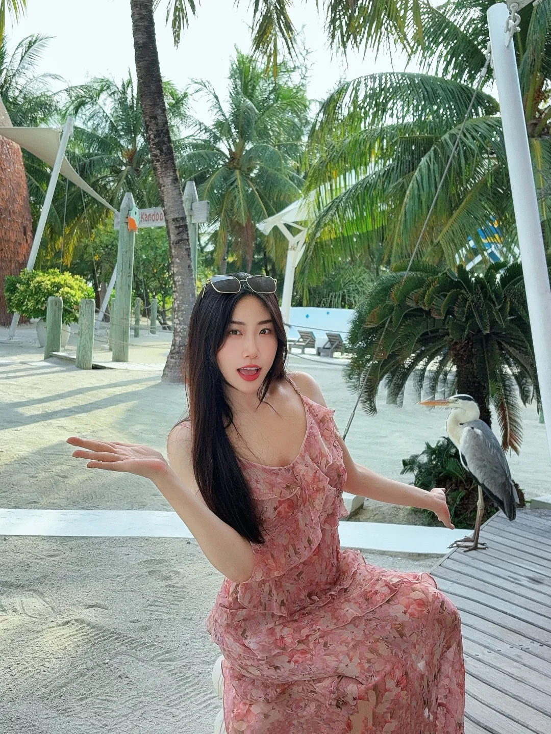 【马尔代夫】很美，但我不会再来了👋