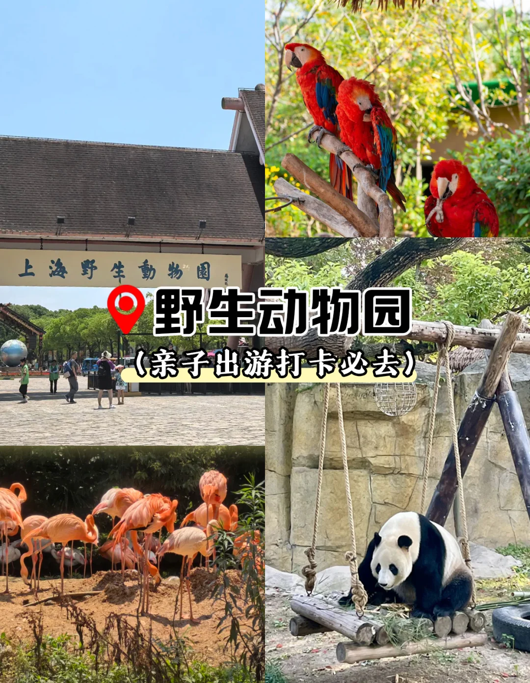 ✨上海私人定制纯玩游，解锁高品质魔都之旅