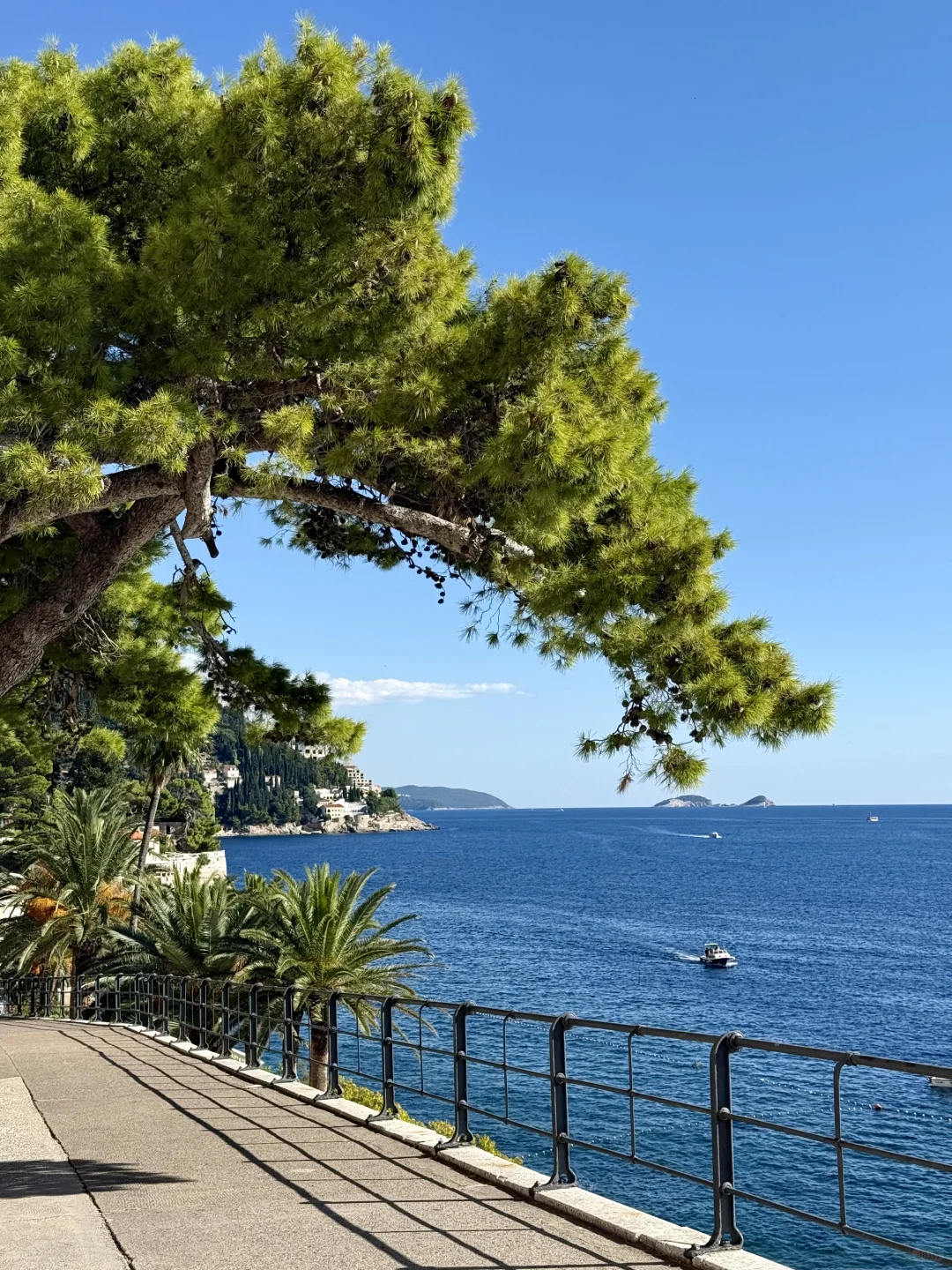 国庆第一批游客已抵达克罗地亚🇭🇷，好美🥹