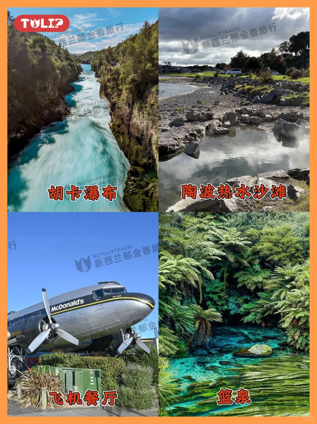 🌋新西兰地热奇观·蓝泉胡卡一日畅玩