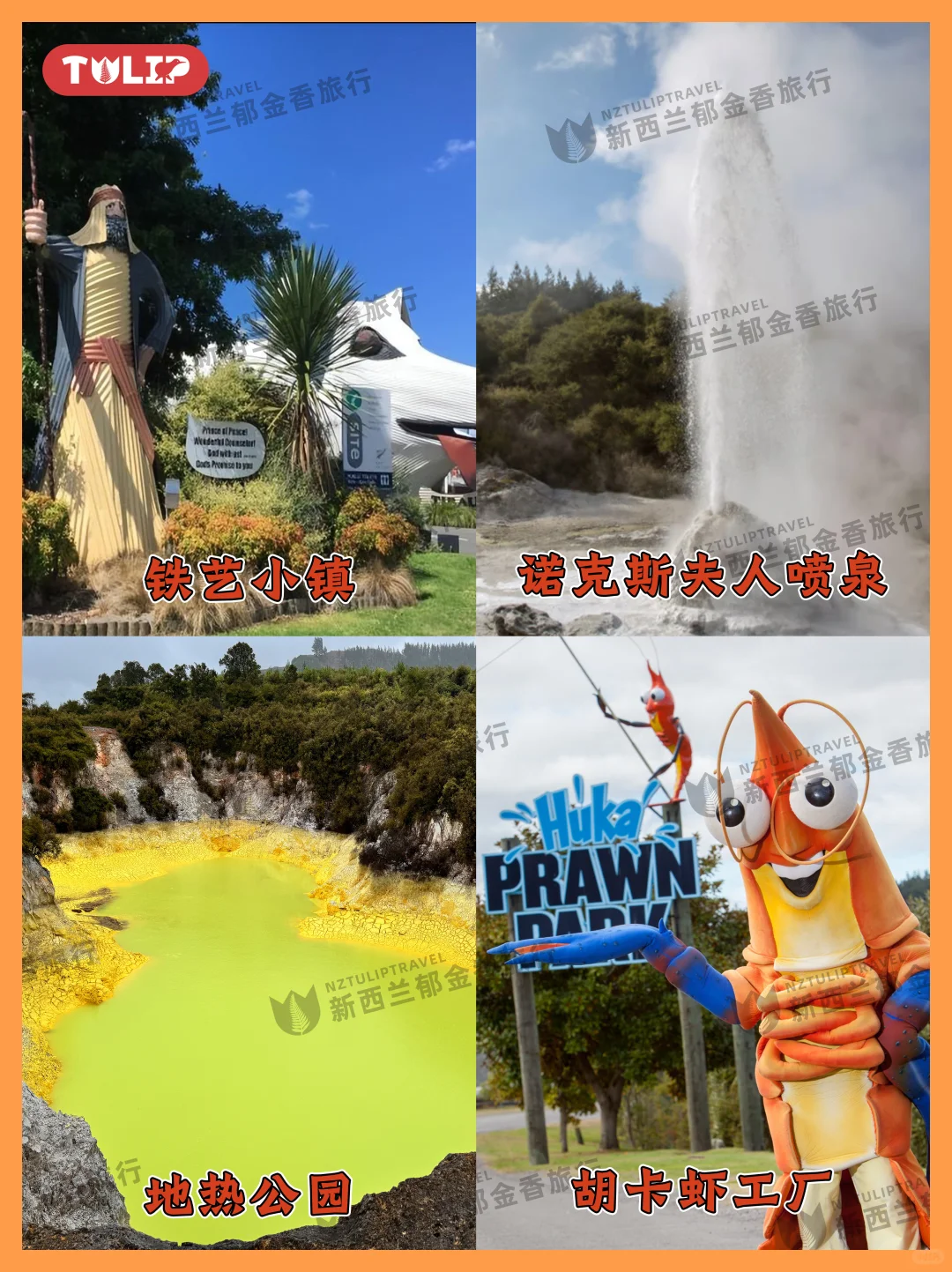 🌋新西兰地热奇观·蓝泉胡卡一日畅玩