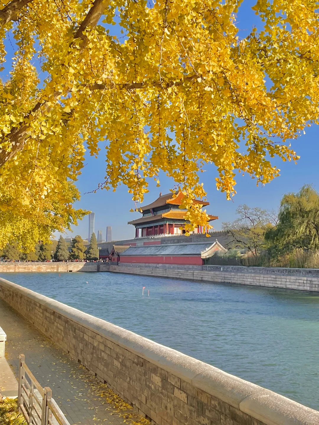 再过两周🍂北京才开始进入真正的秋天