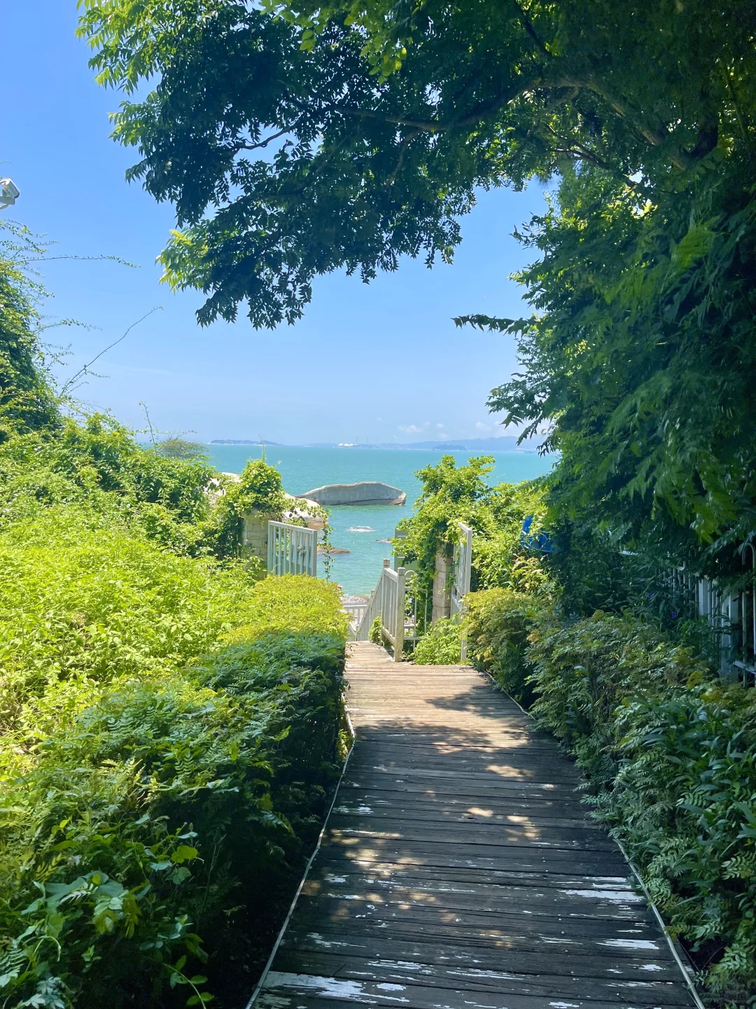 厦门！！一下动车直奔这6️⃣个地方！！📍附路线