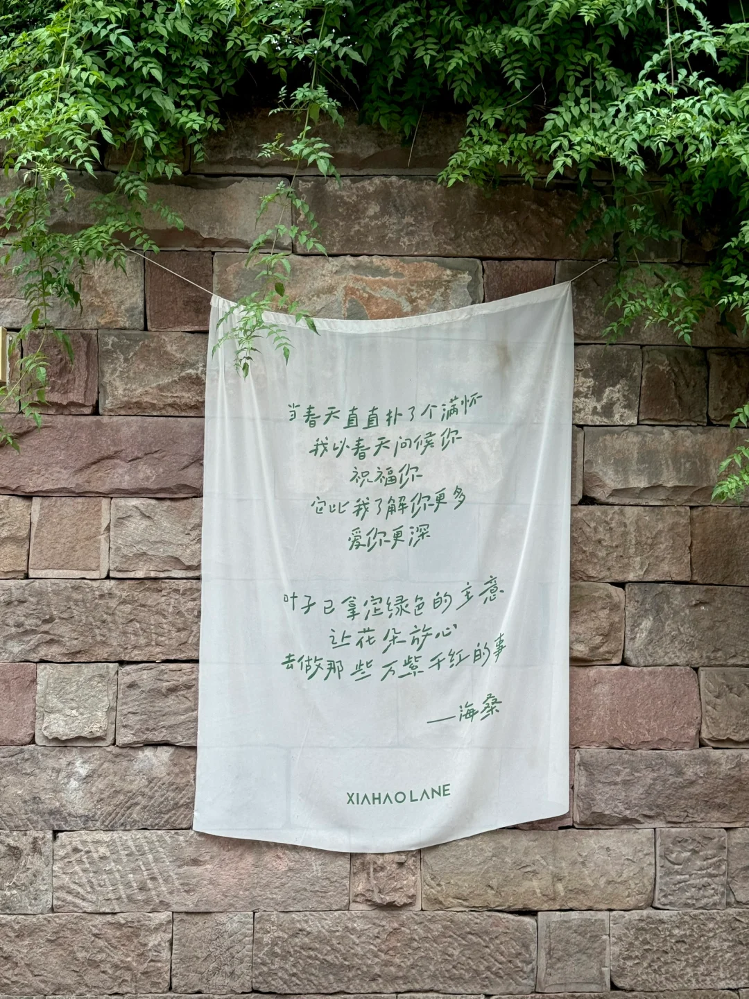 重庆这几个地方!亲测比洪崖洞好玩10000倍🍃