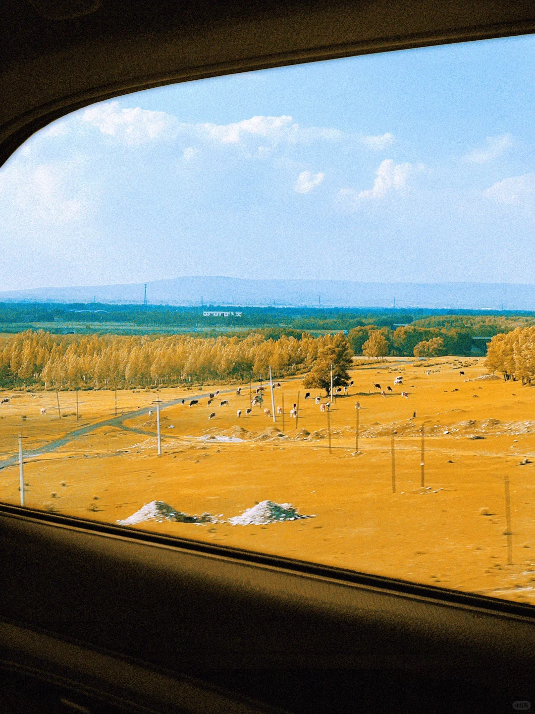 北京2h直达，被严重低估的宝藏小城！附攻略🍂