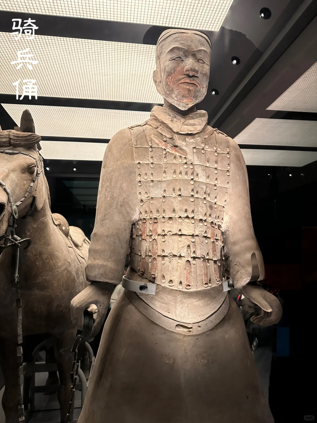 我 秦始皇 打钱😎我真懂兵马俑怎么玩