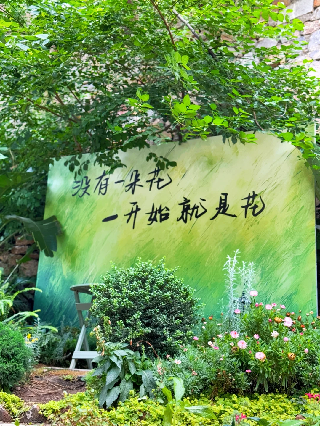 淄博“小丽江”别太好拍