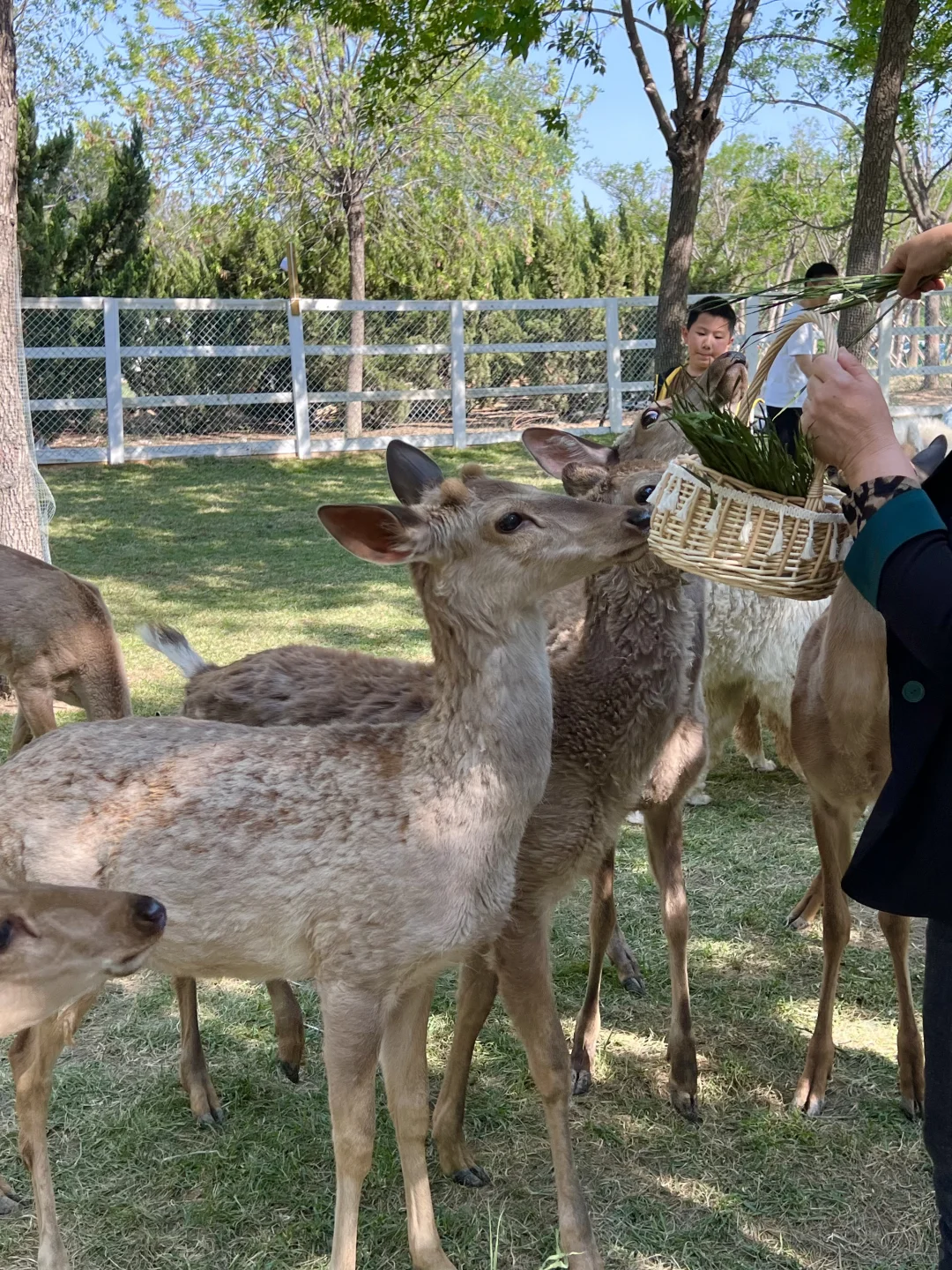 没想到啊!邯郸还藏着这么好玩的地方!附攻略