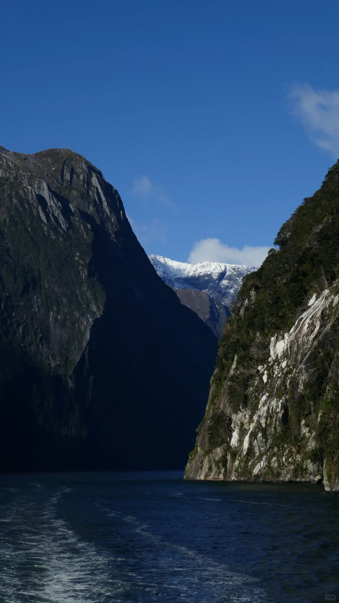我坐公交游完了新西兰！🇳🇿｜内附攻略