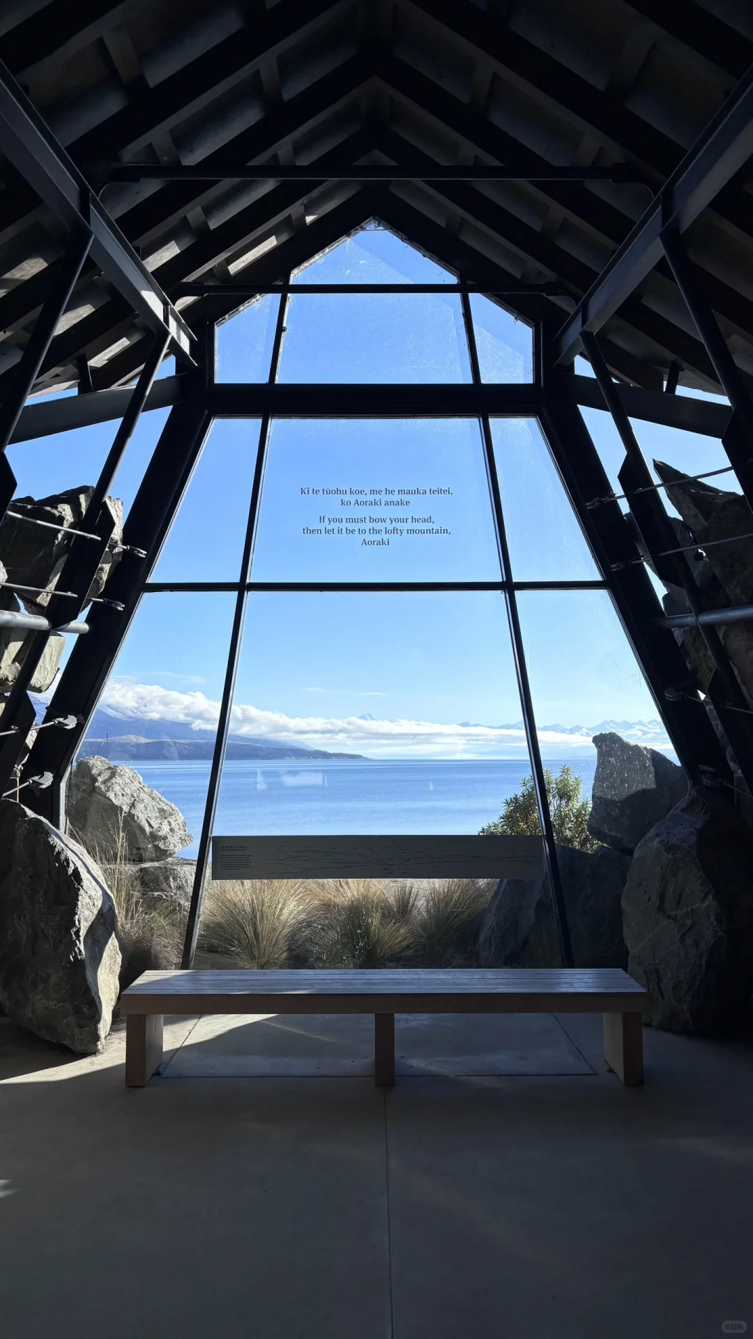 我坐公交游完了新西兰！🇳🇿｜内附攻略