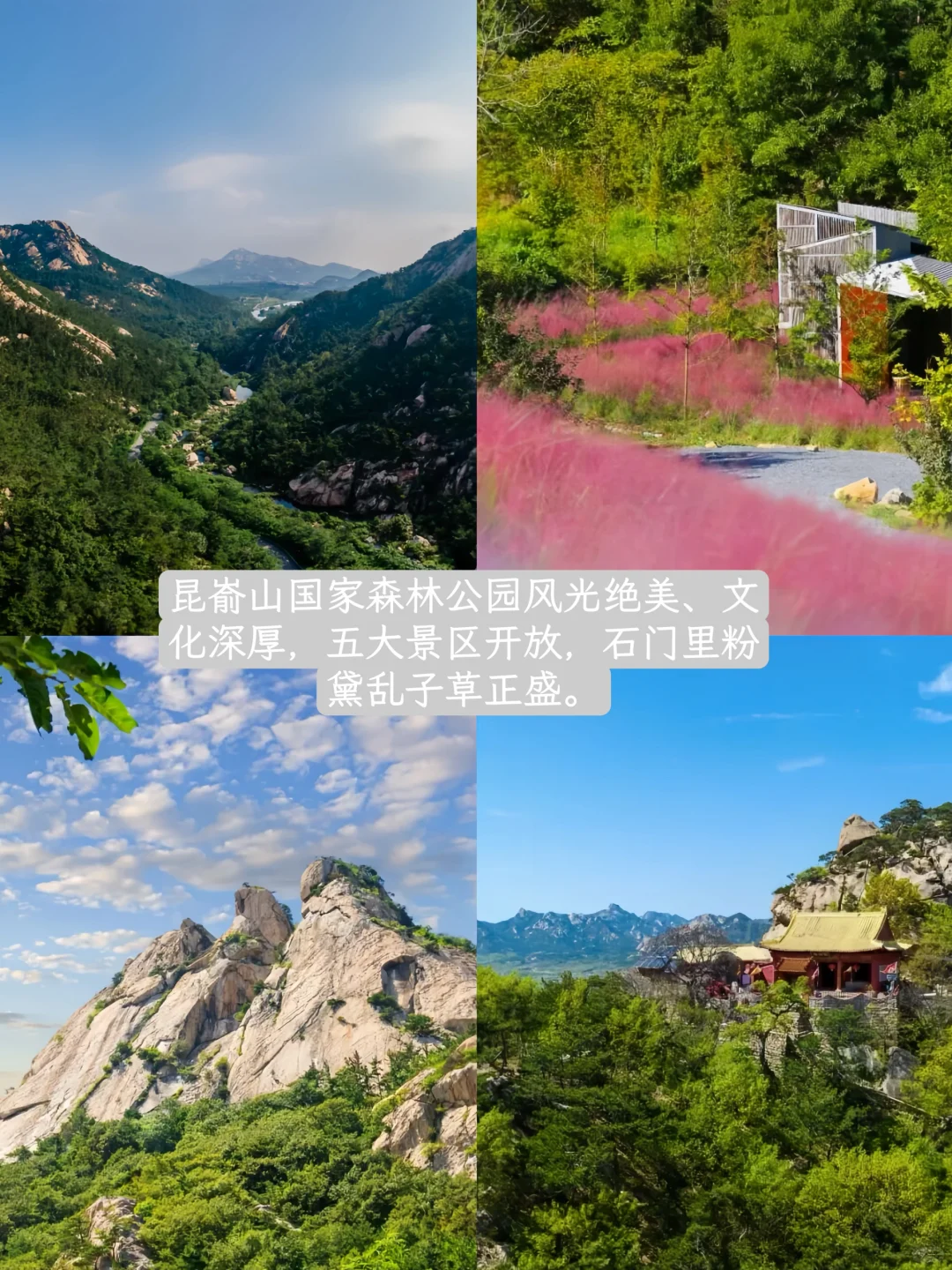 爆肝整理📝烟台🔟个宝藏登山地,绝美