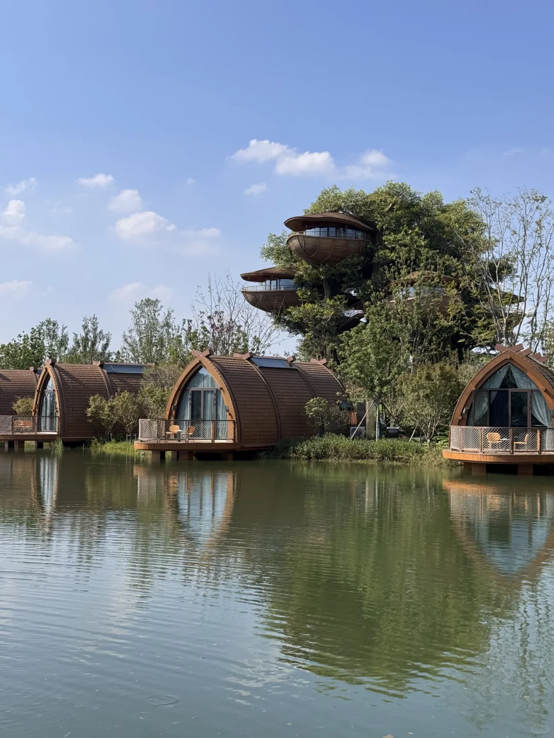 不是新西兰,是武汉,住进森林🌳树屋🛖