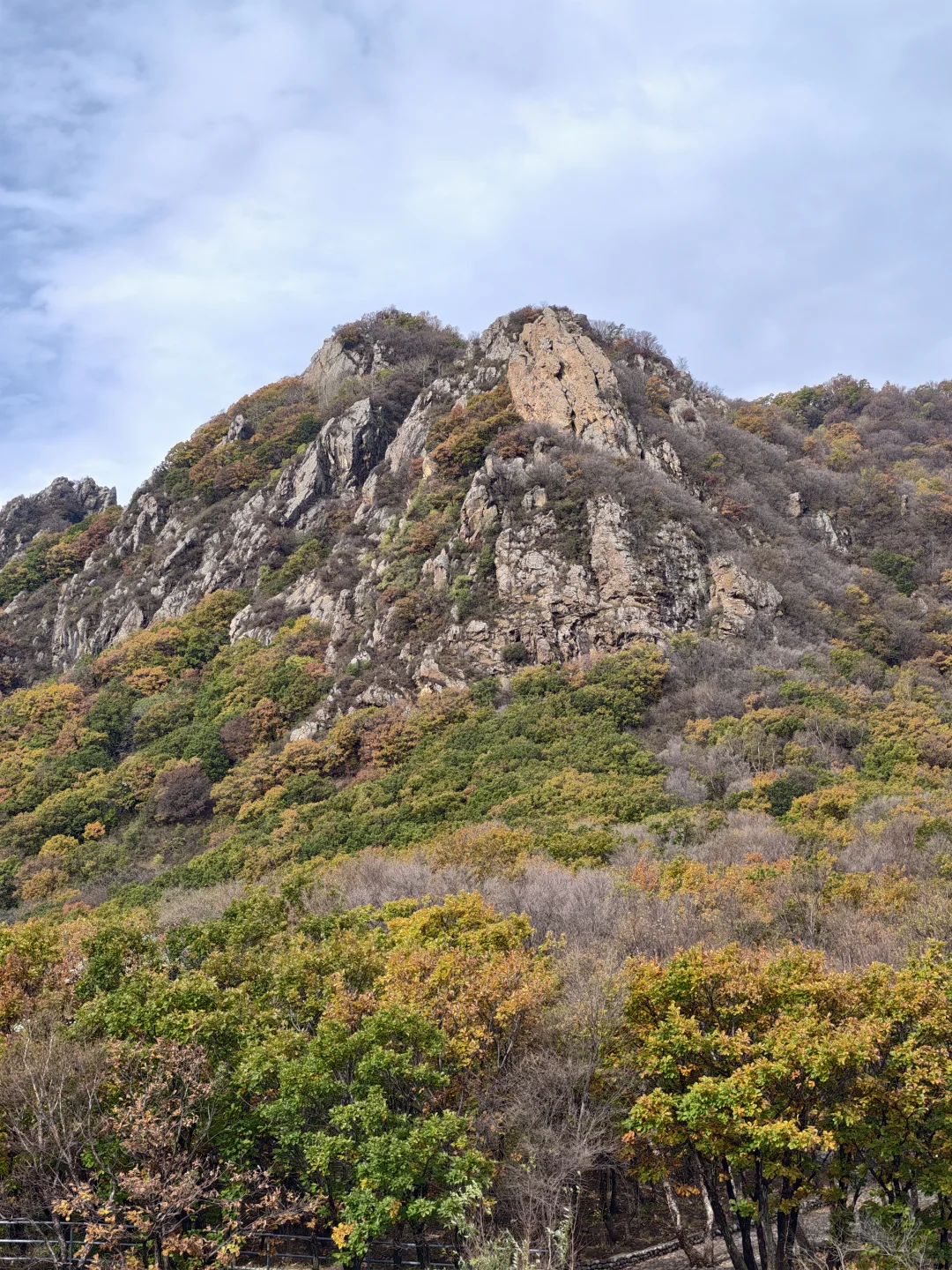 京秋必冲!北京百瑞谷藏着绝美云海与彩林,