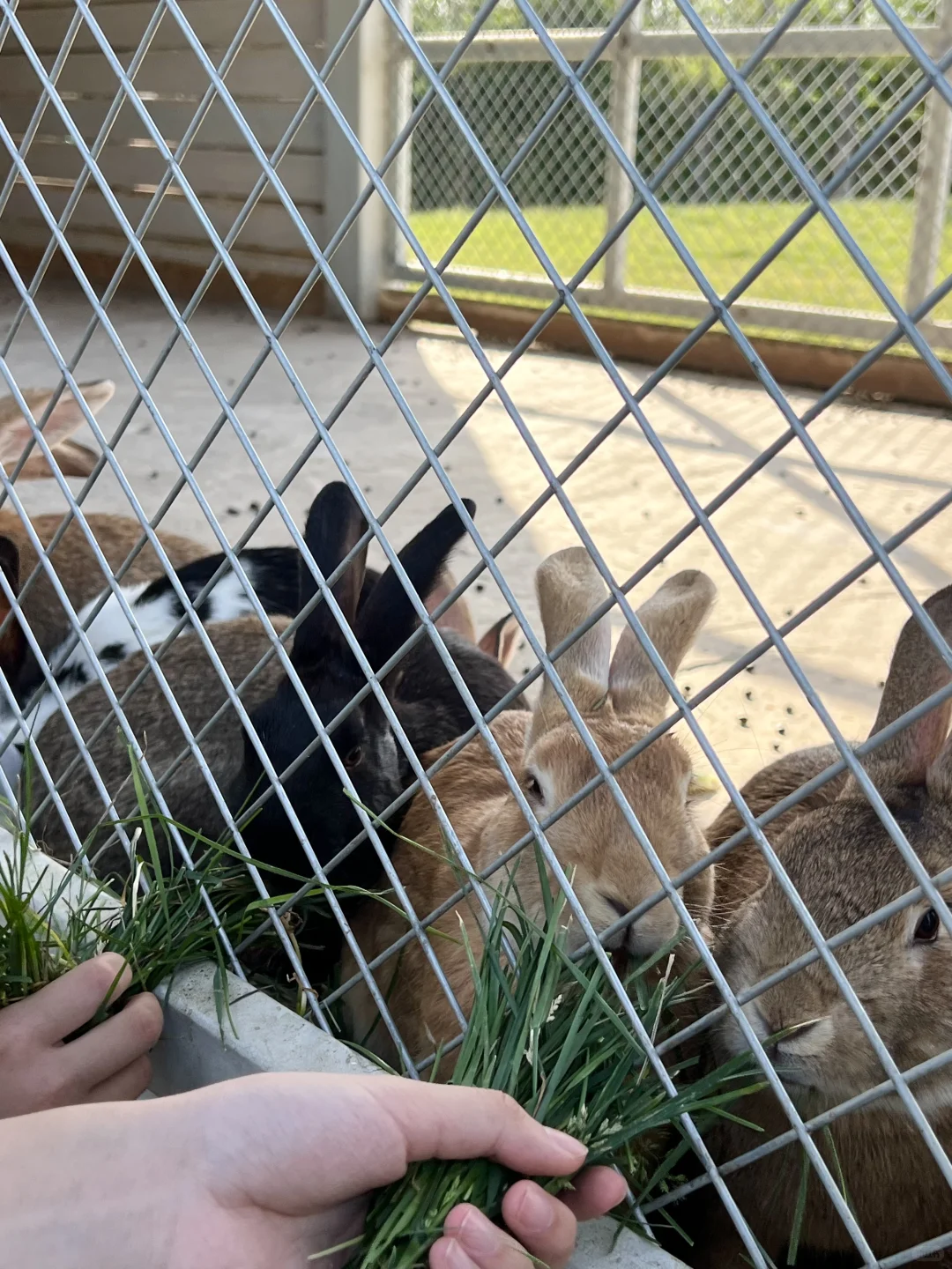 没想到啊!邯郸还藏着这么好玩的地方!附攻略