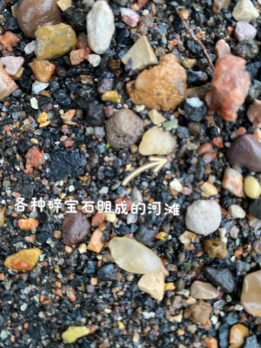 灰泉子村捡玛瑙,整片河滩都是亮晶晶✨宝石!