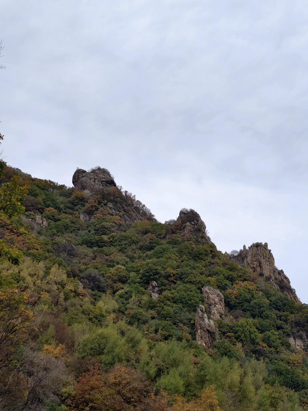 京秋必冲!北京百瑞谷藏着绝美云海与彩林,