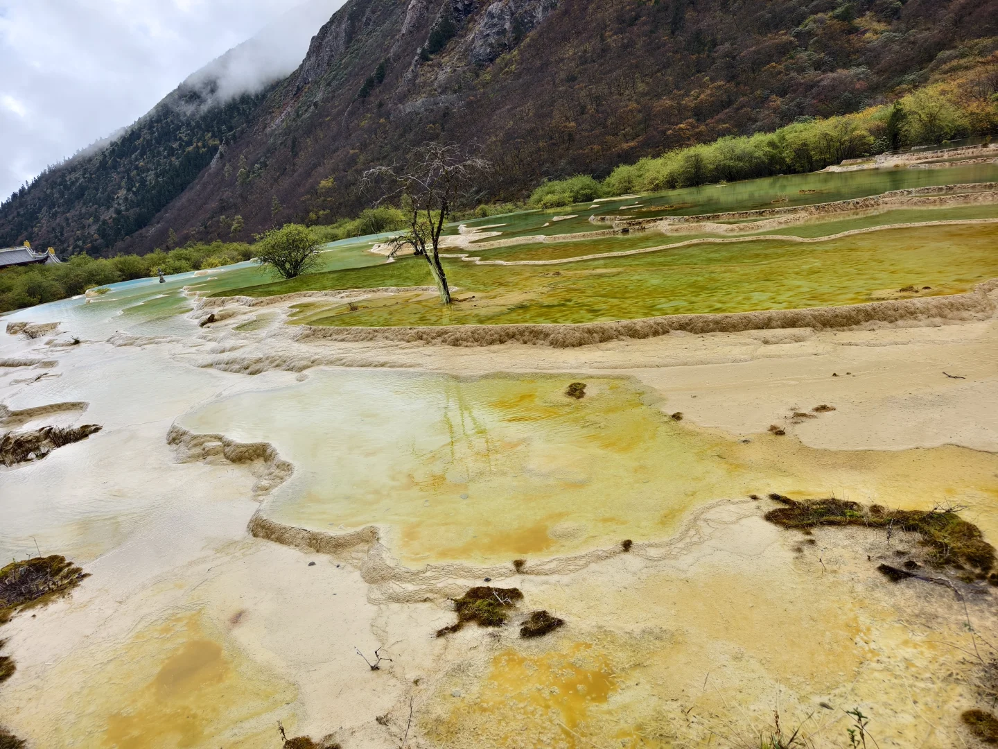 为黄龙正名,一个值得来的景区