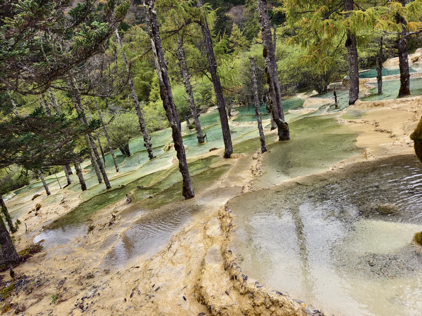 为黄龙正名,一个值得来的景区