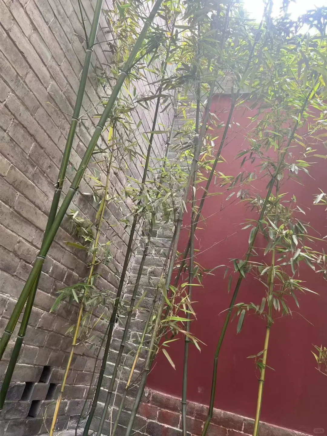 西安10个最好玩值得去的地方