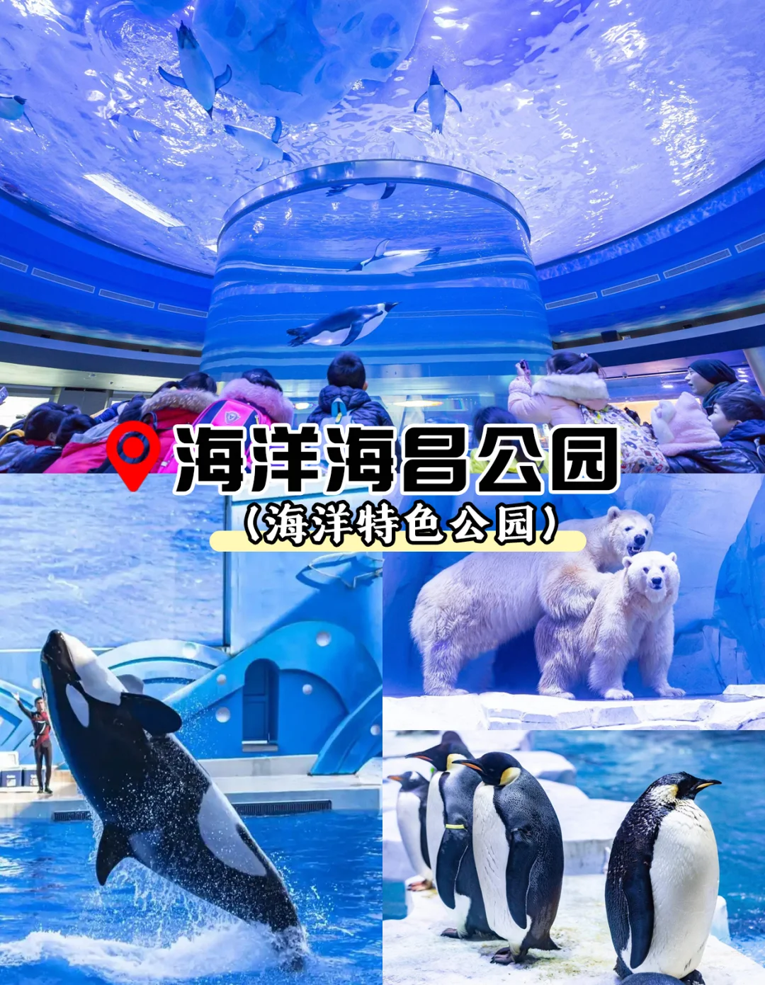 ✨上海私人定制纯玩游，解锁高品质魔都之旅