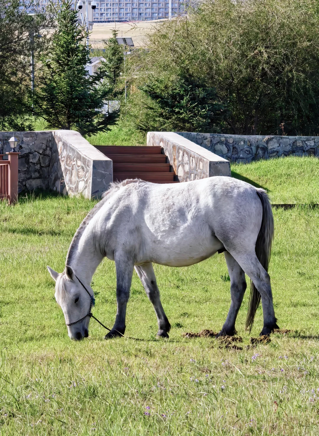青海湖:中国鱼雷发射试验基地往事