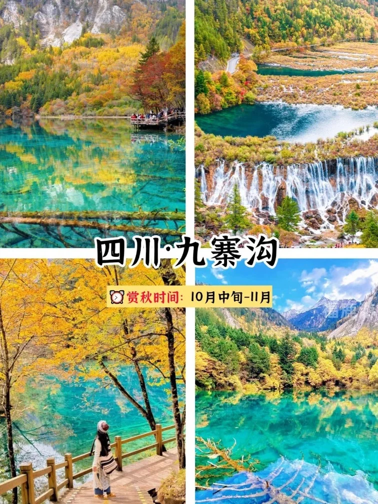 25国内赏秋好去处 | 9-12⽉秋⽇出⾏指南！
