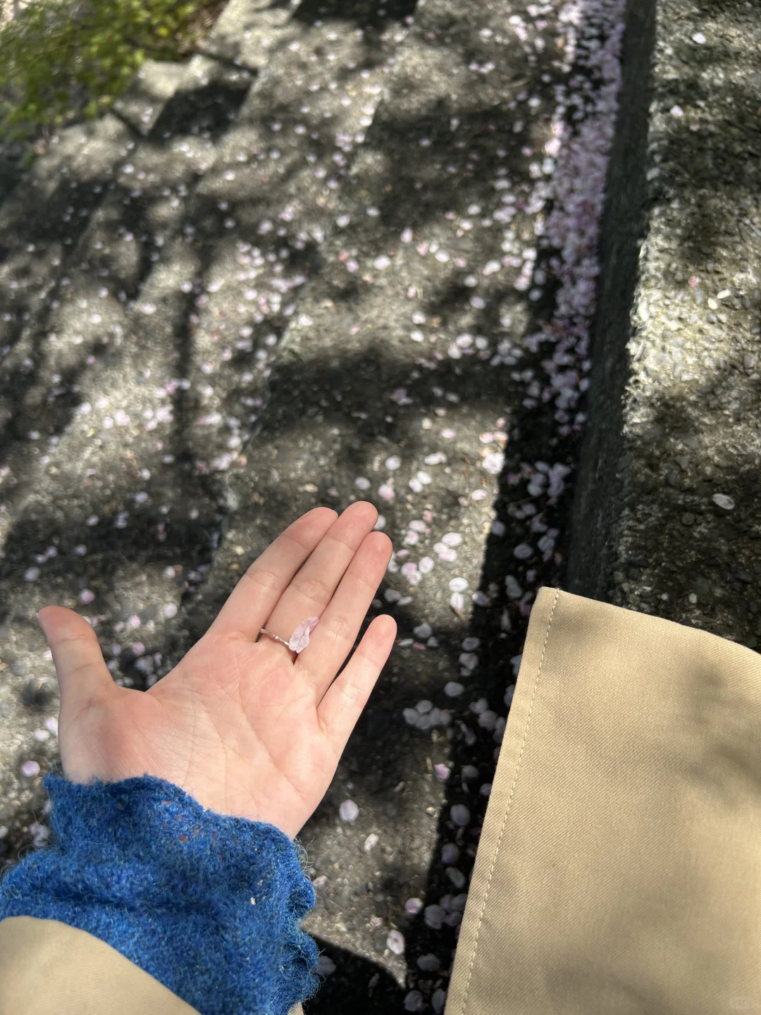 绝美富士山观赏攻略