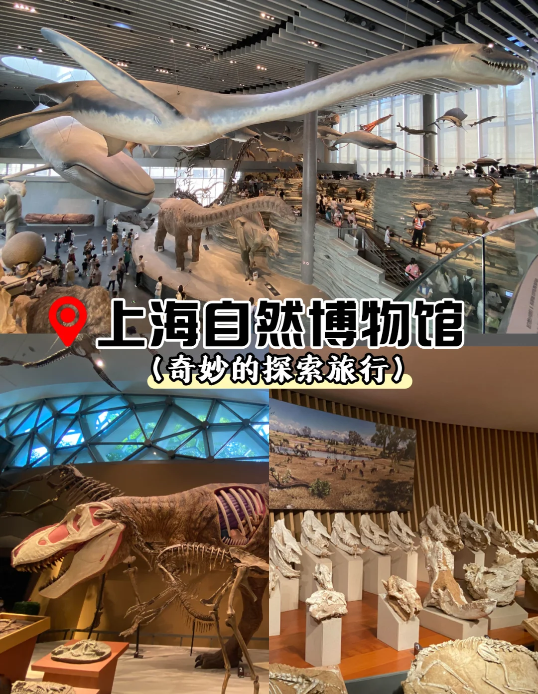 ✨上海私人定制纯玩游，解锁高品质魔都之旅