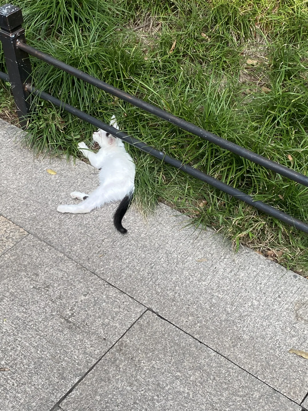 上海苏州往返一日游之放空