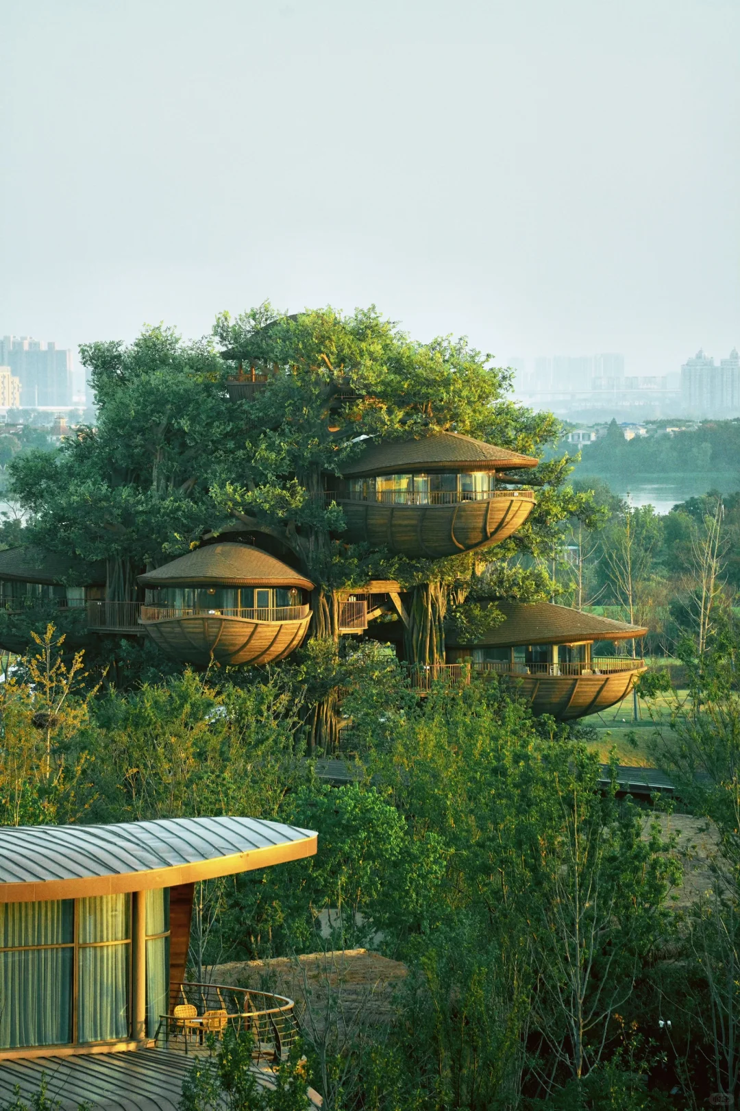 不是新西兰,是武汉,住进森林🌳树屋🛖