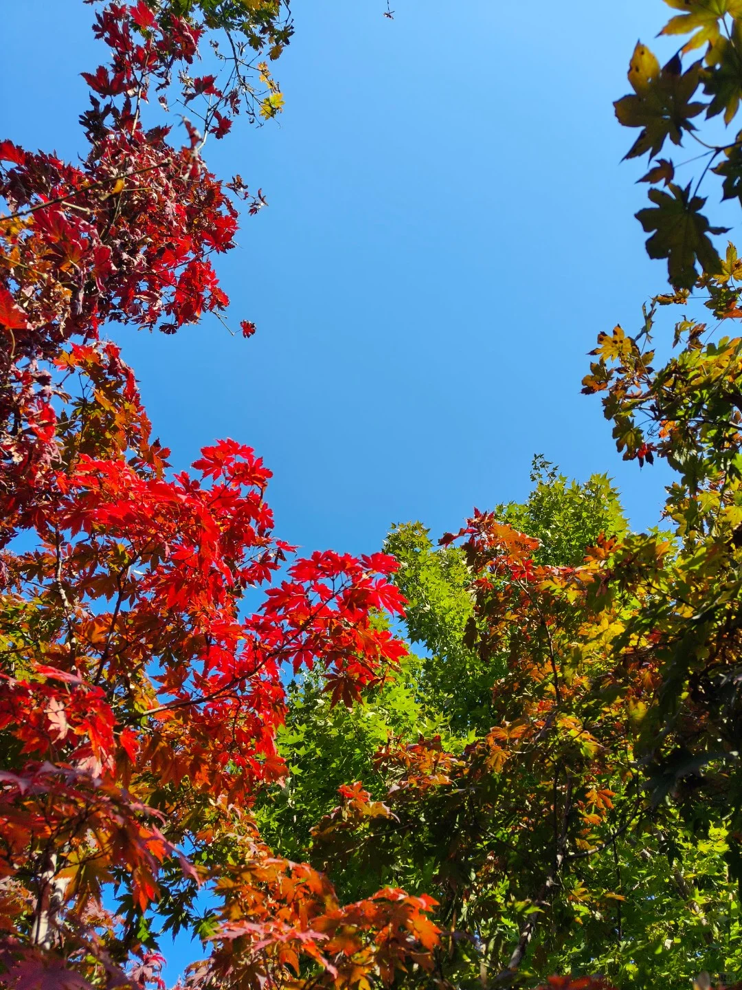 谁懂南方人第一次去沈阳的震撼感?
