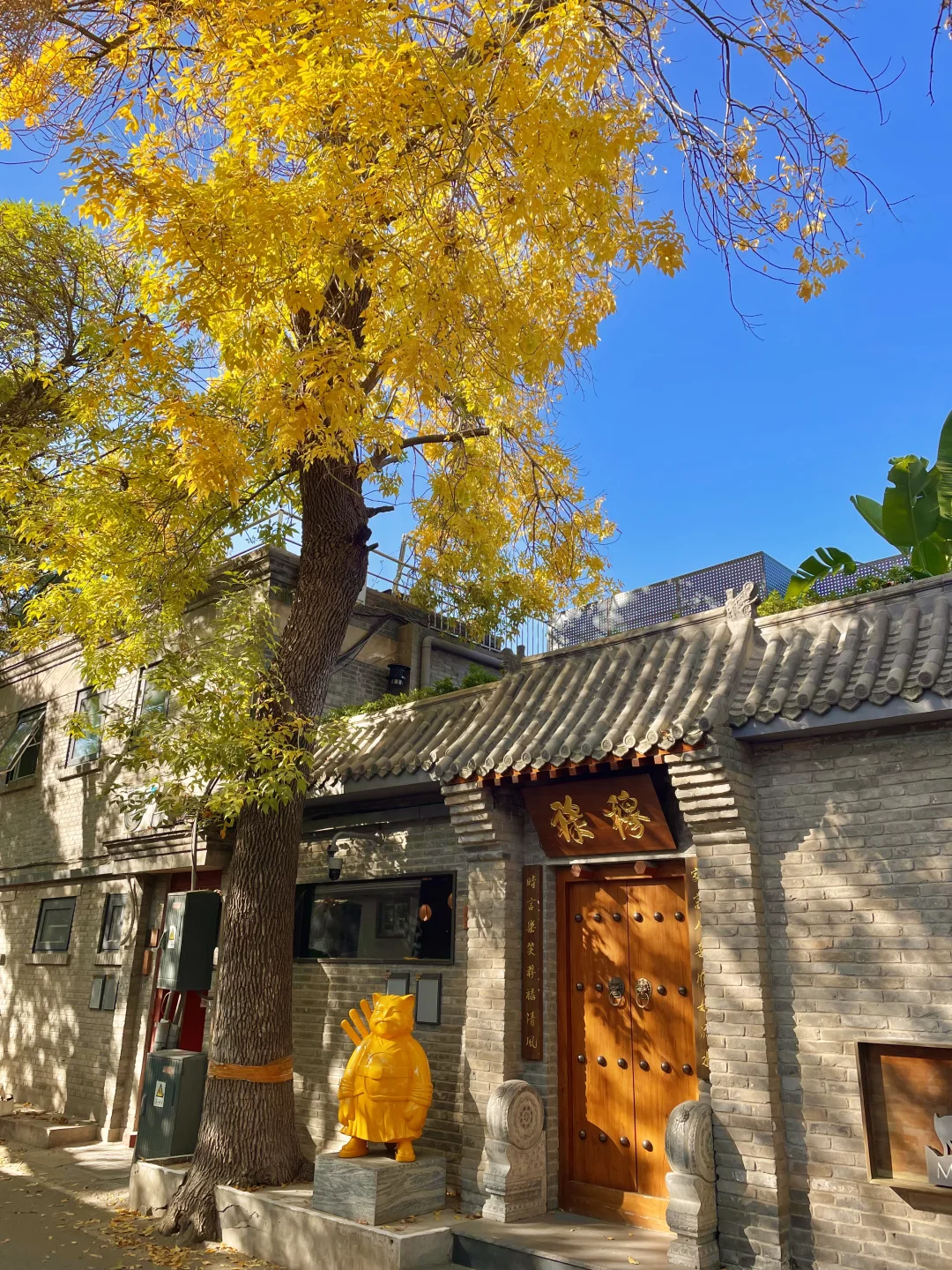 再过两周🍂北京才开始进入真正的秋天