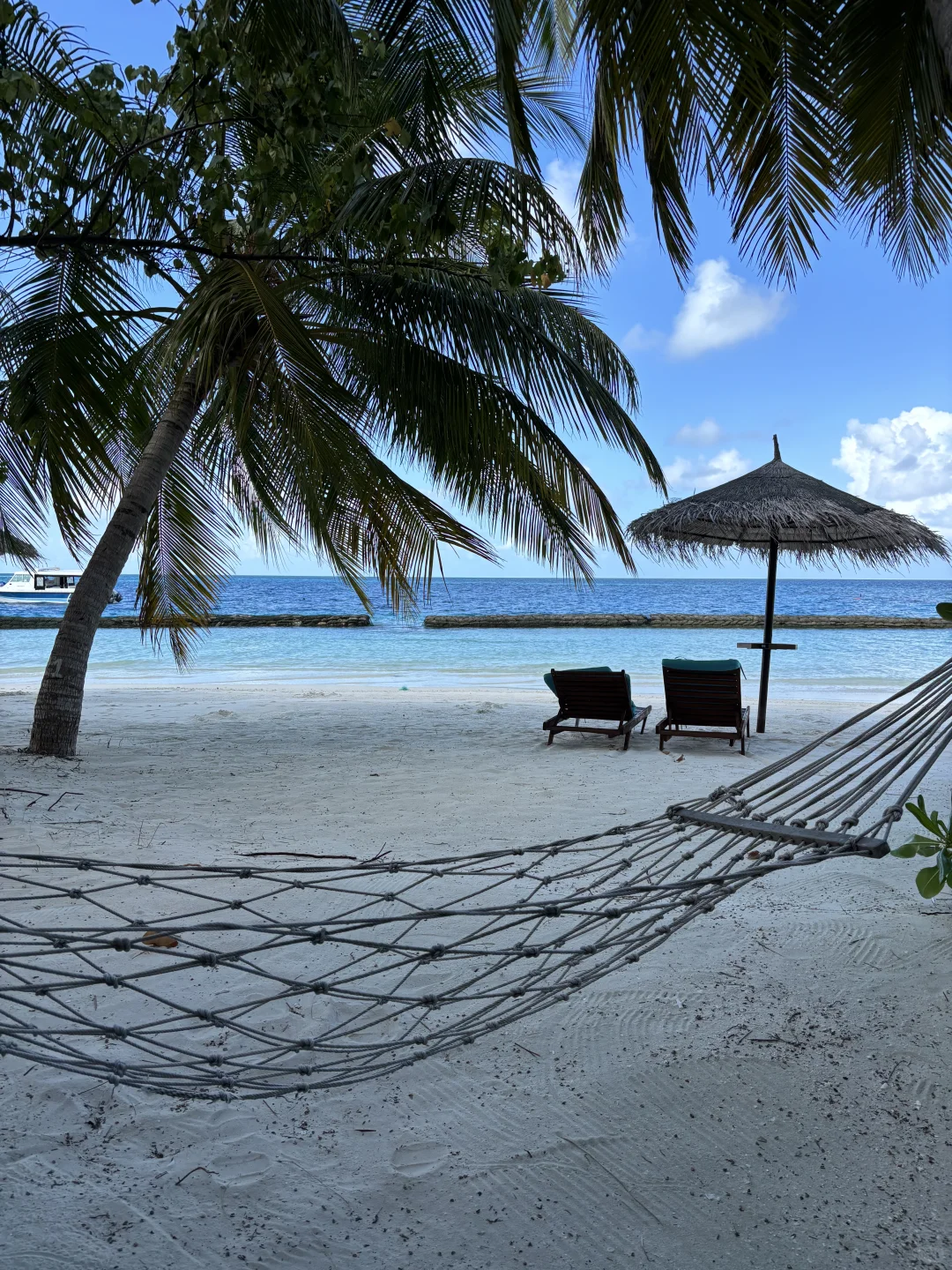 🇲🇻一个人的岛民日记