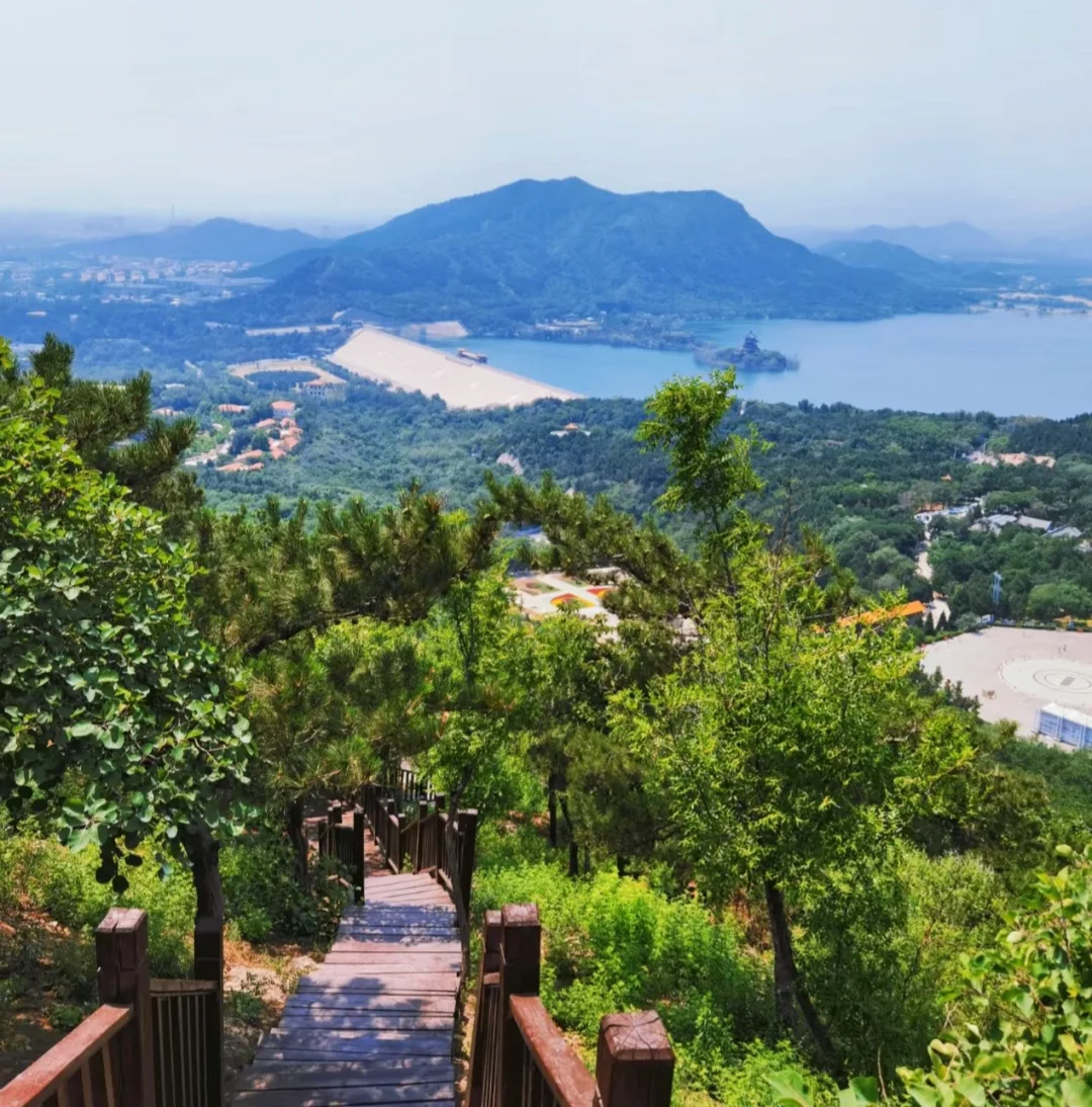 蟒山国家森林公园|没苦硬吃的蟒山一爬