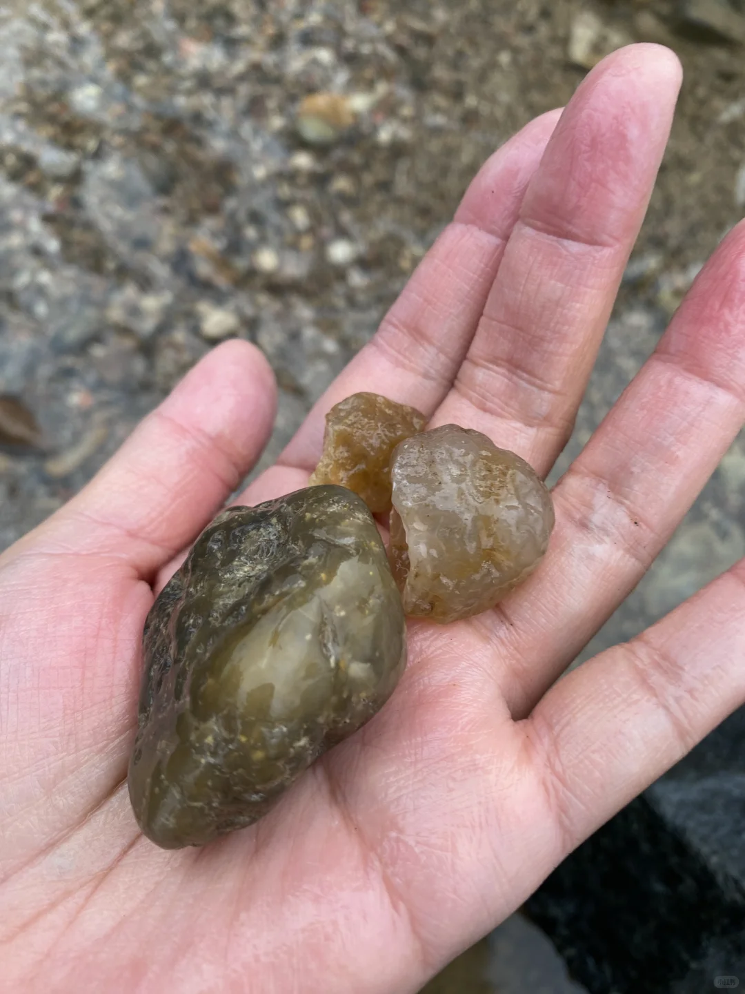 灰泉子村捡玛瑙,整片河滩都是亮晶晶✨宝石!