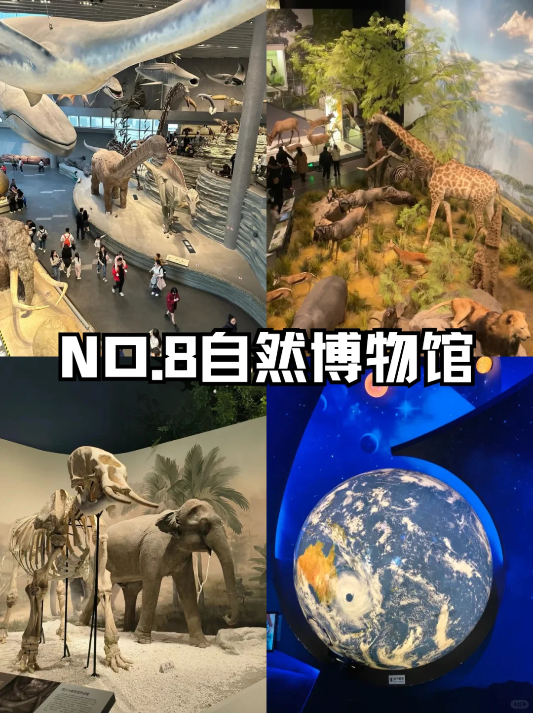 成都必去的九大景点旅游打卡攻略‼️