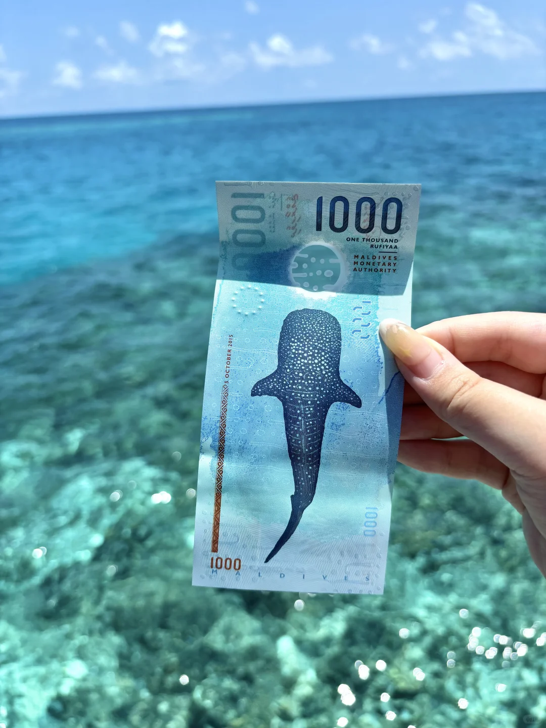 🇲🇻一个人的岛民日记
