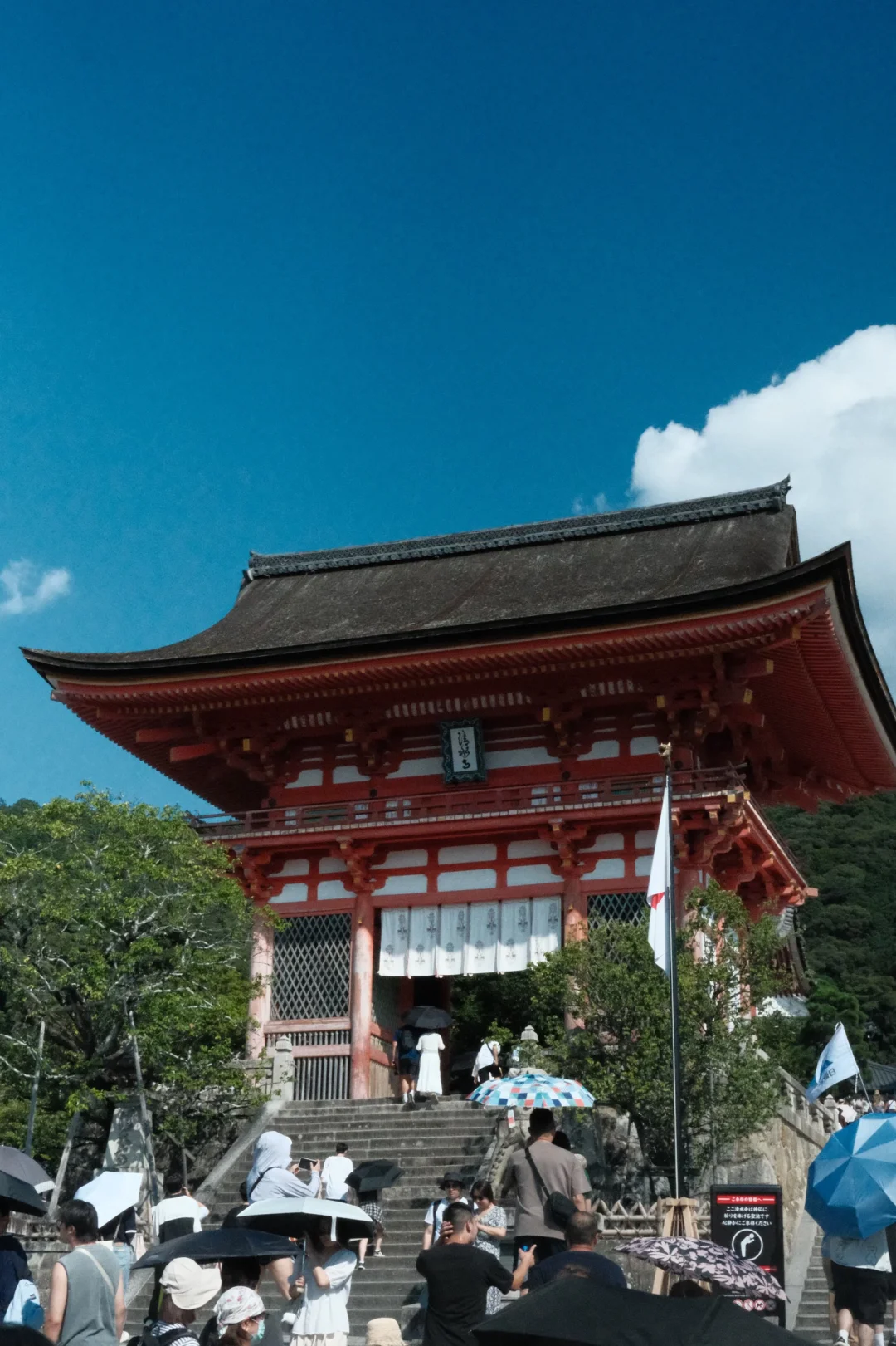 看似chill实则半天跑了四个景点的Kyoto