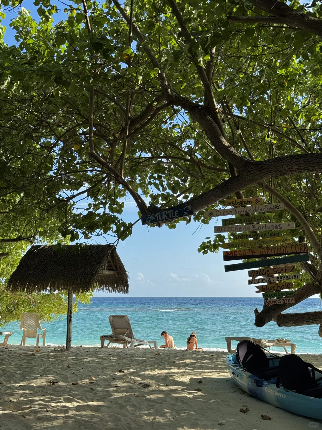人均3500的马尔代夫🇲🇻9天8晚