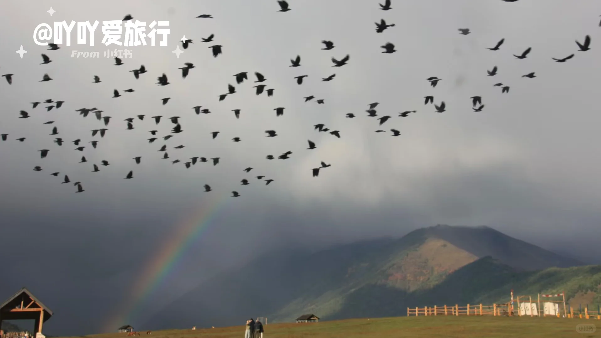 来禾木别再这么玩啦快点进来看正确玩法‼️