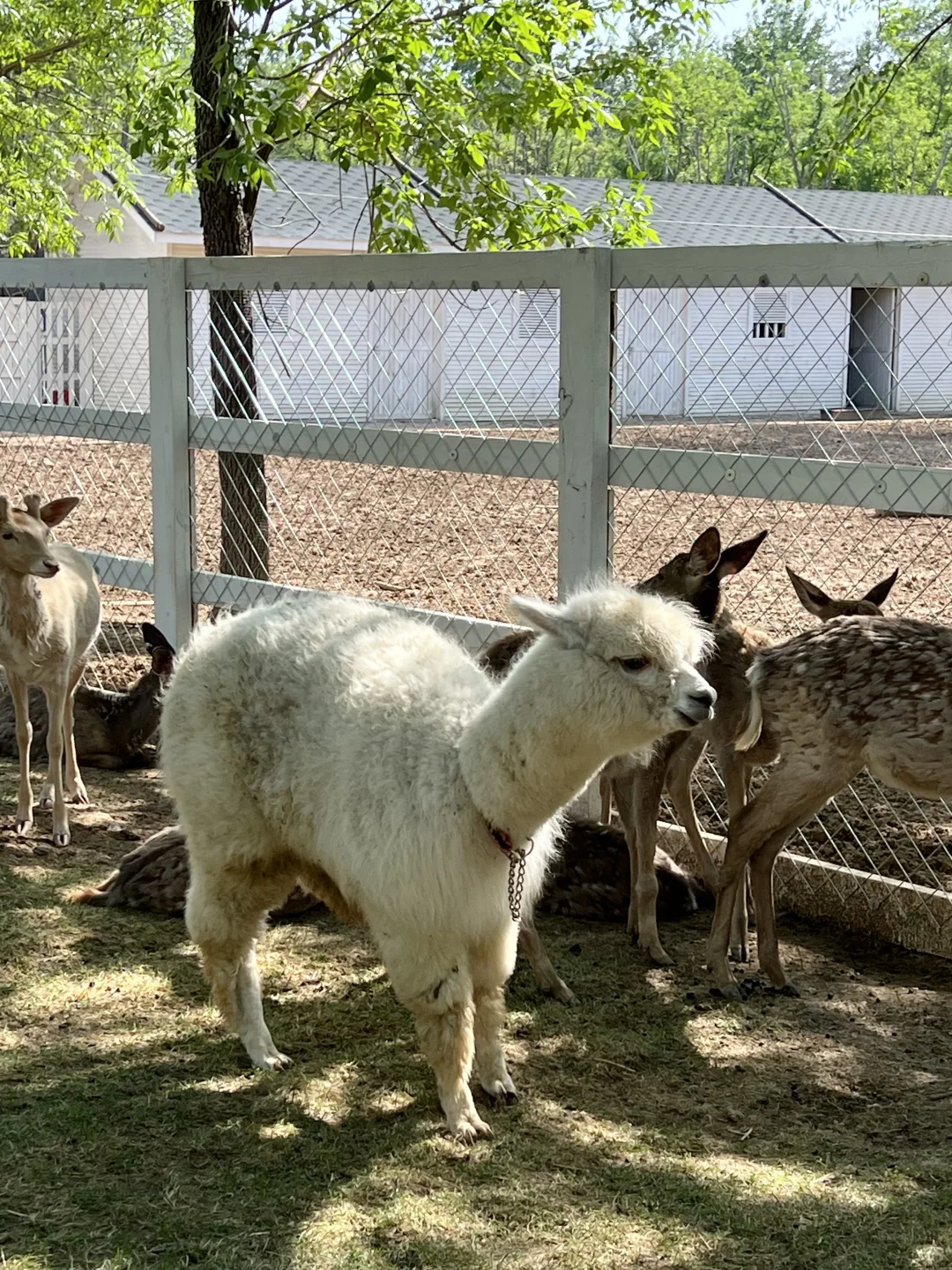没想到啊!邯郸还藏着这么好玩的地方!附攻略