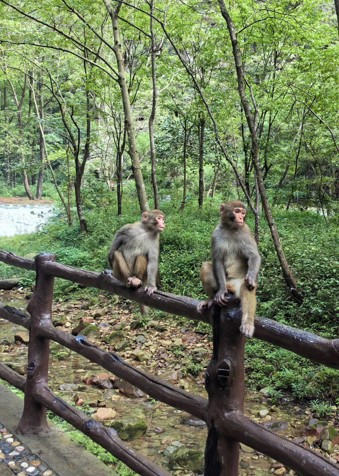 含氧之旅—张家界+凤凰古城