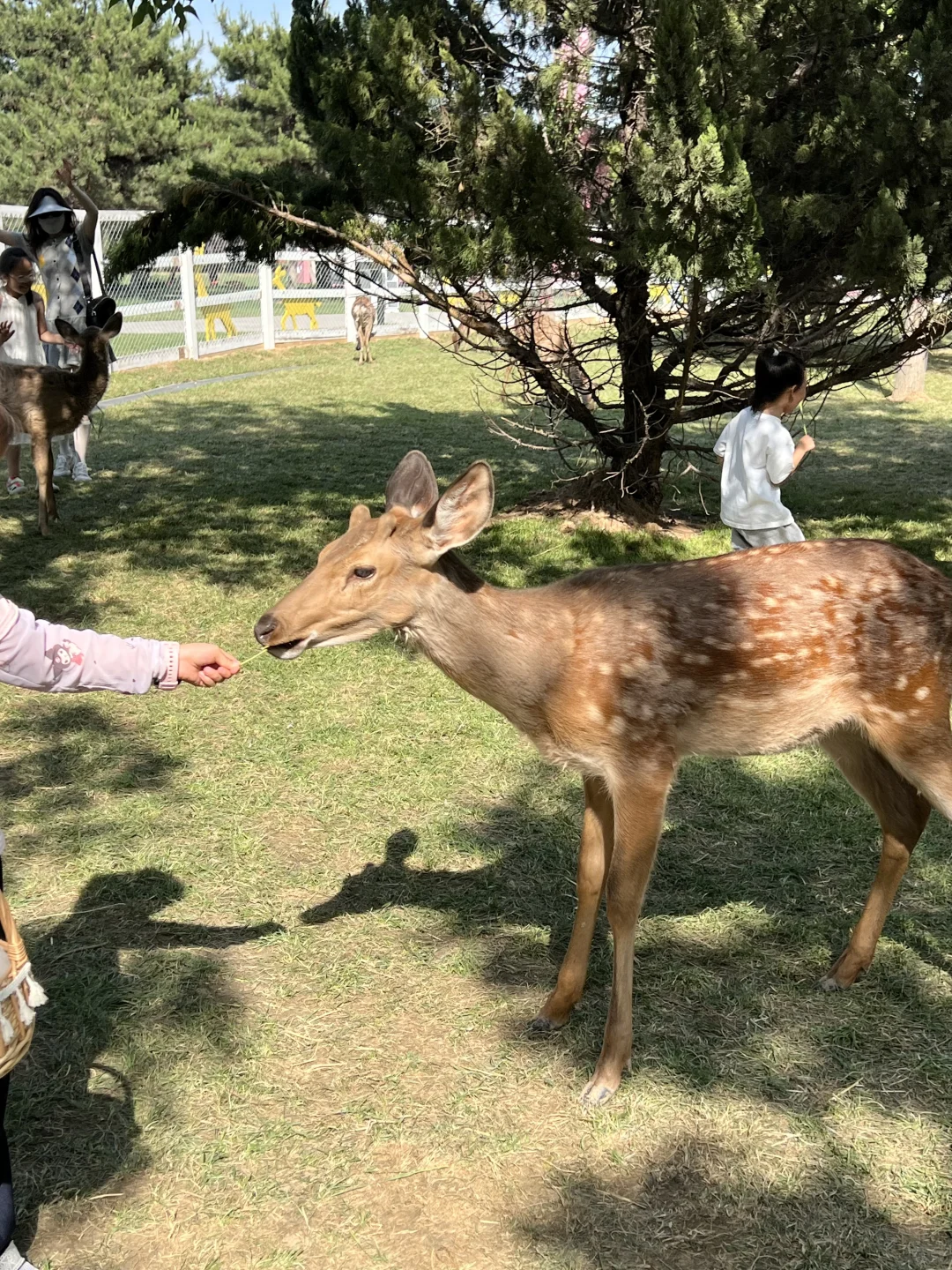 没想到啊!邯郸还藏着这么好玩的地方!附攻略