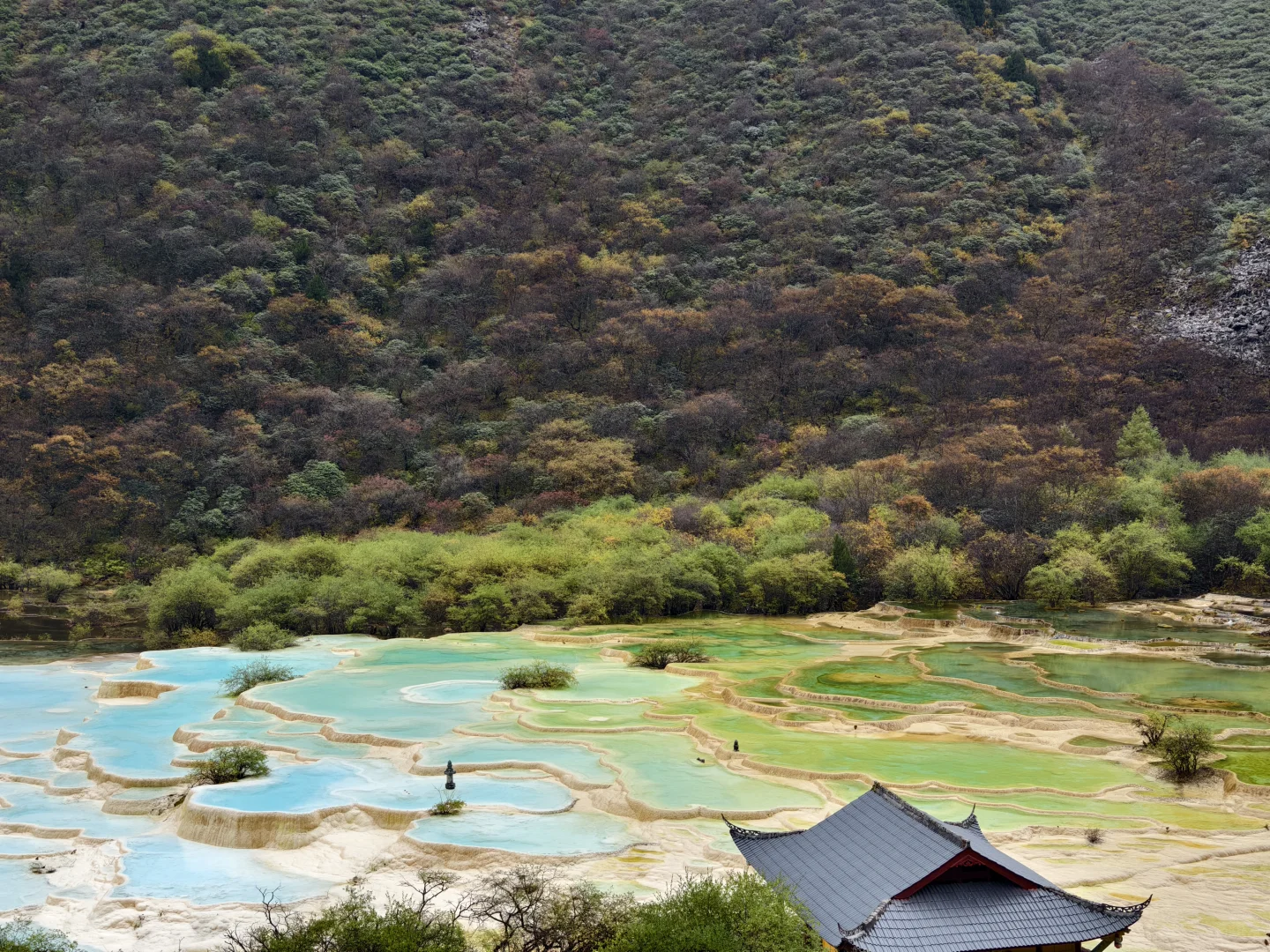 为黄龙正名,一个值得来的景区