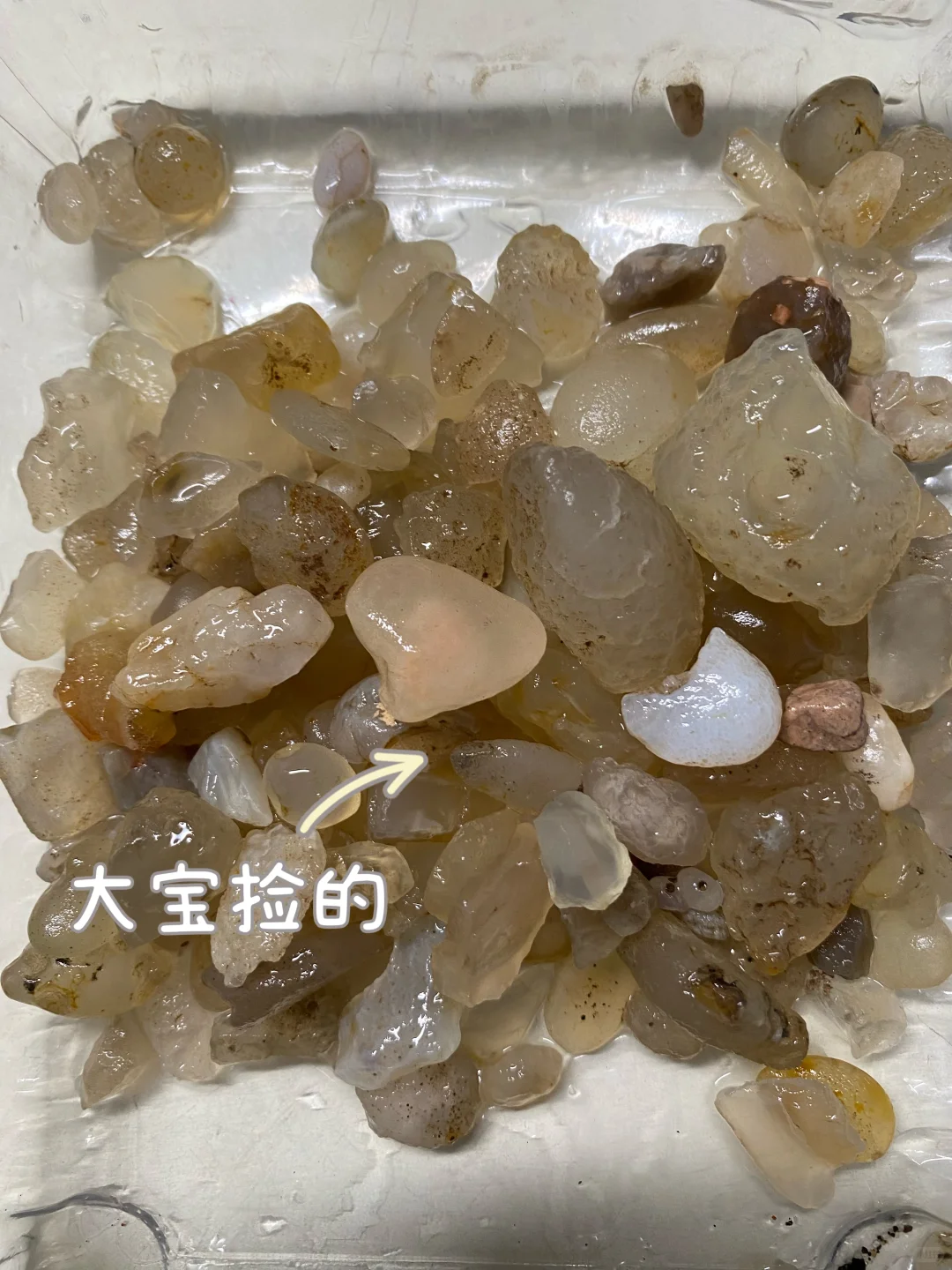 灰泉子村捡玛瑙,整片河滩都是亮晶晶✨宝石!