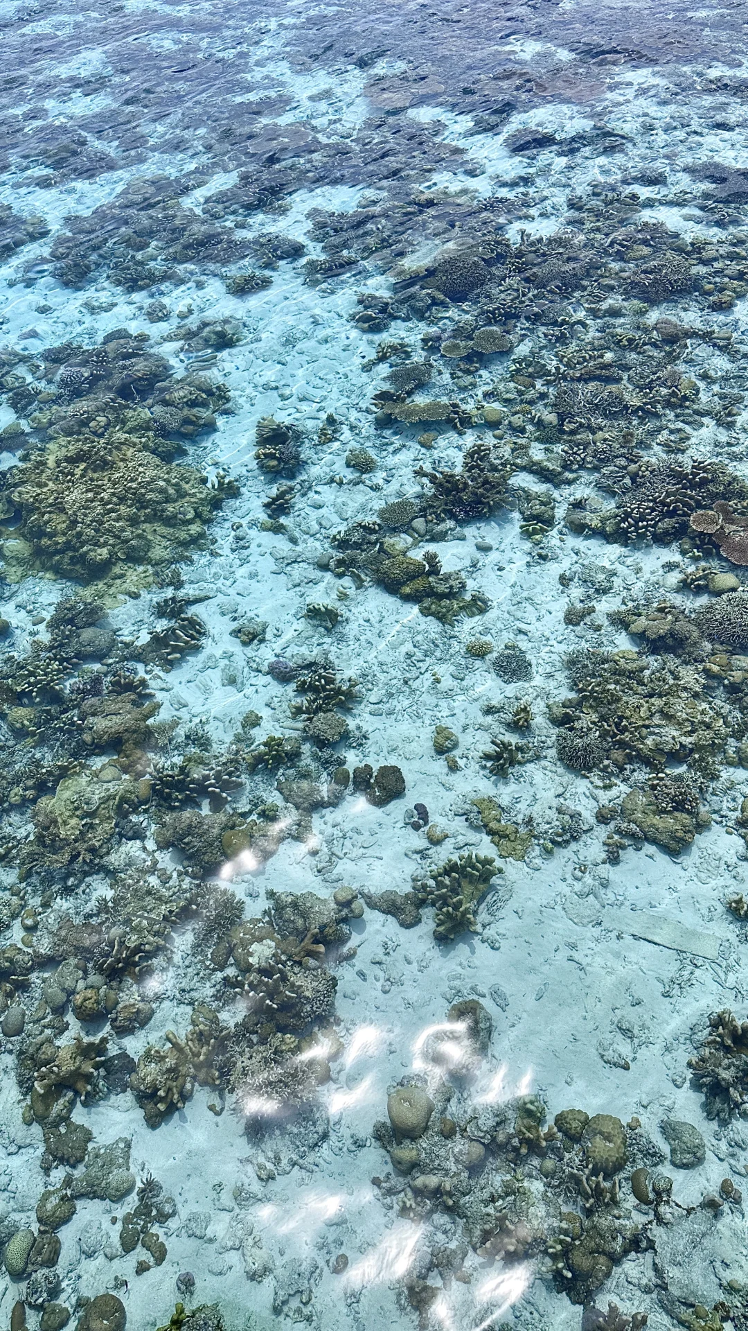 🌊超全玻璃海对比图鉴📝
