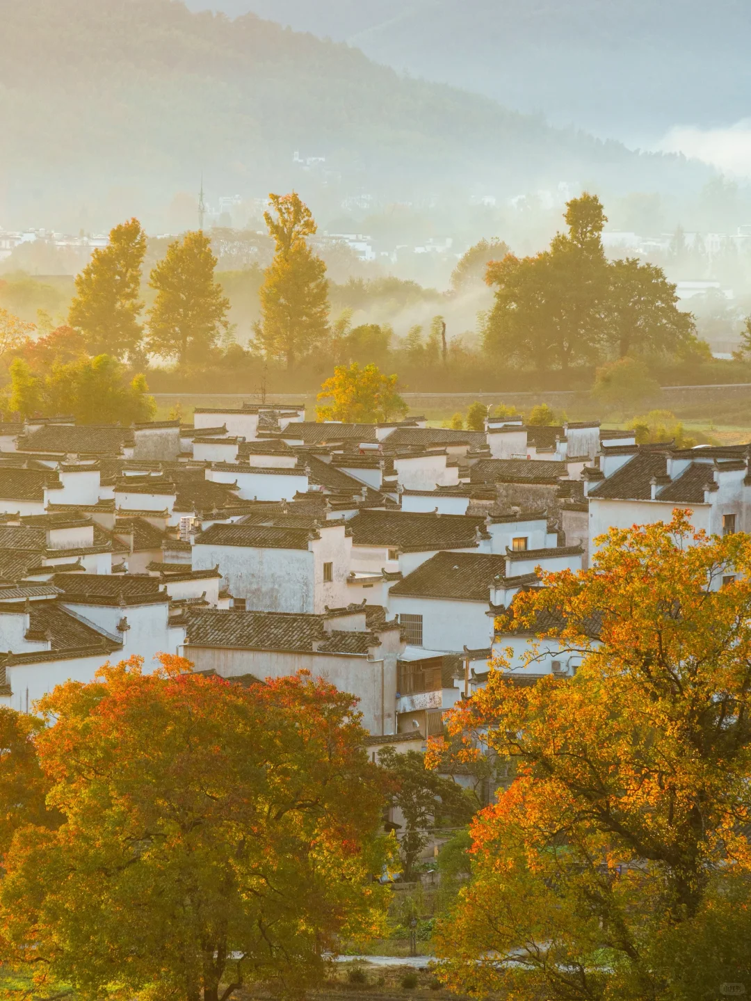 被《国家地理》评为中国最美的秋天🍂有多绝👍