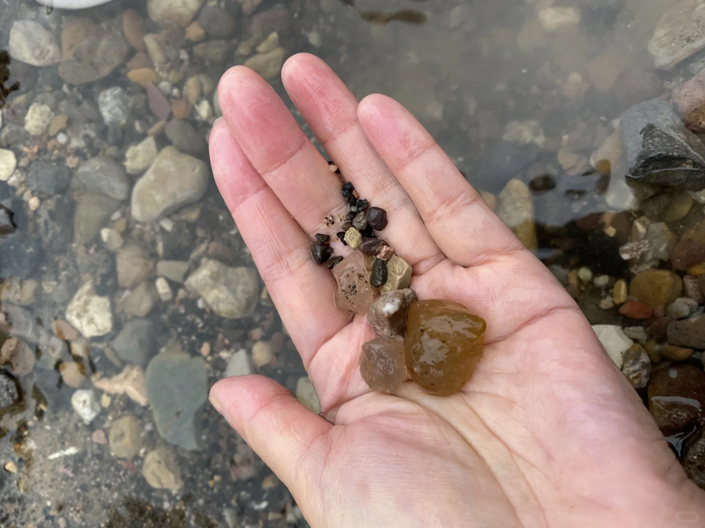 灰泉子村捡玛瑙,整片河滩都是亮晶晶✨宝石!