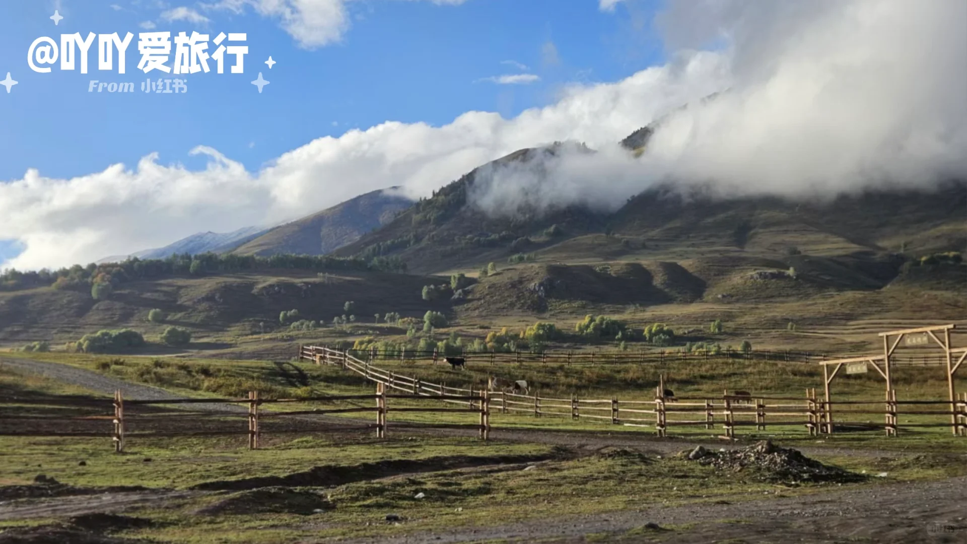 来禾木别再这么玩啦快点进来看正确玩法‼️